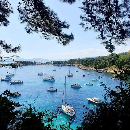 Spacieux F2 Climatise Vue Mer, Piscine Et Parking Antibes Kültér fotó