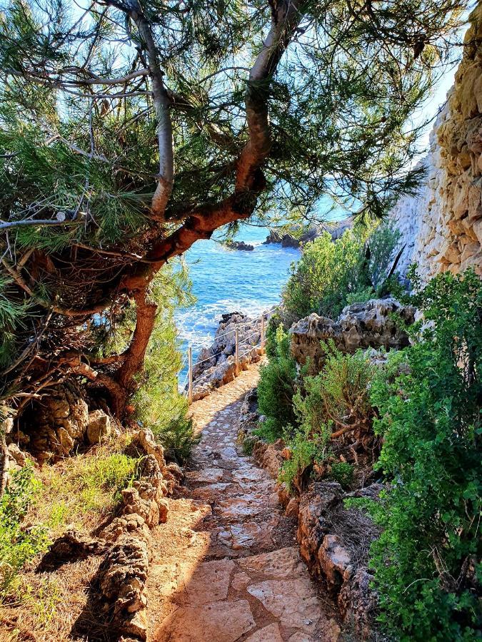 Spacieux F2 Climatise Vue Mer, Piscine Et Parking Antibes Kültér fotó